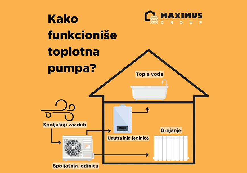 Maximus Team